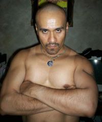 latino528